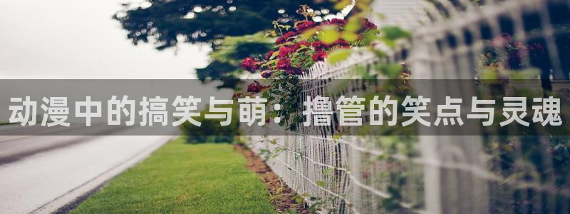 age动漫