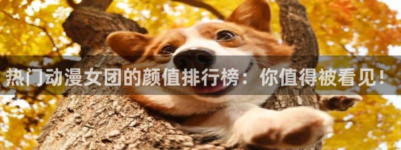 age动漫网