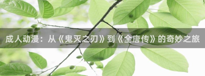 在线动画动漫下载age动漫