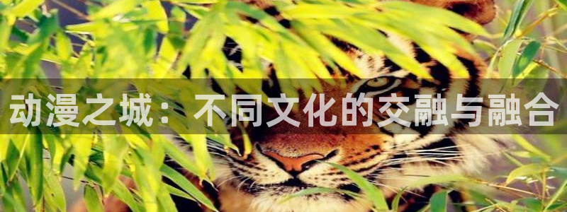 age动漫网下载