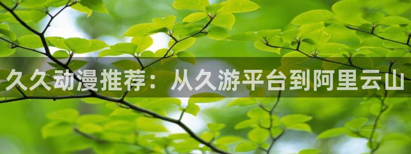 age动漫