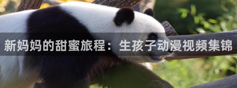 在线动画动漫下载age动漫