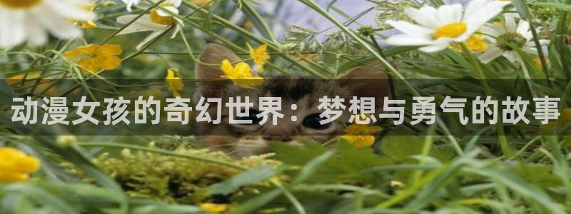 下载age动漫