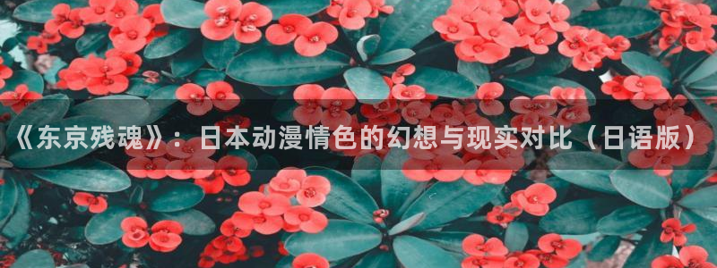 age动漫下载动漫全免费