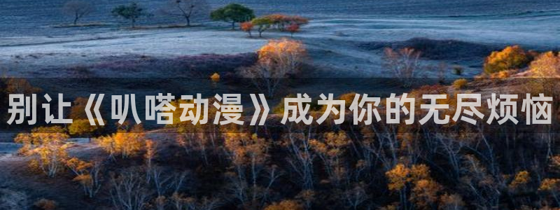 age动漫