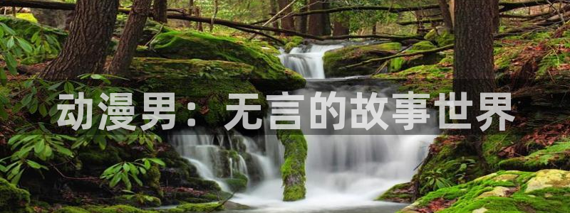age专注动漫的门户网站