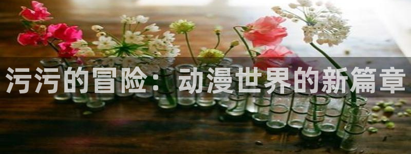 age动漫网