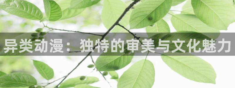 age动漫专注动漫的门户网站