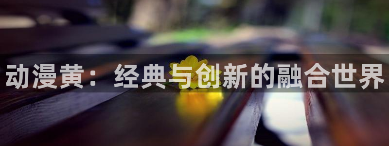 age动漫网官网入口