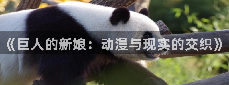 age动漫