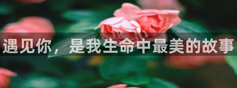 stagenehind韩漫免费观看