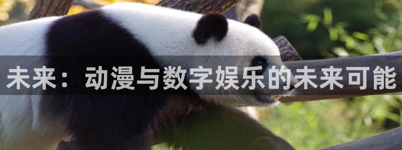 age动漫网上看