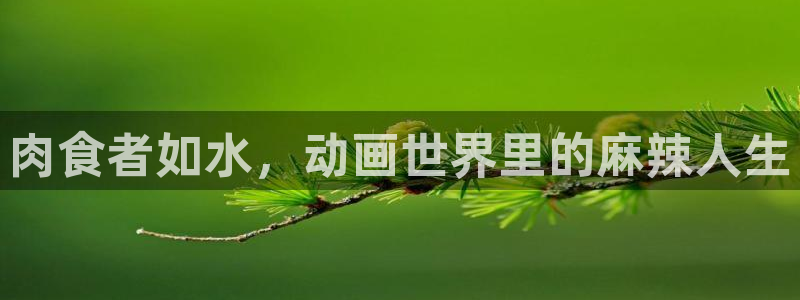 age动漫：肉食者如水，动画世界里的麻辣人生