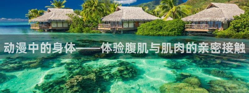 age动漫