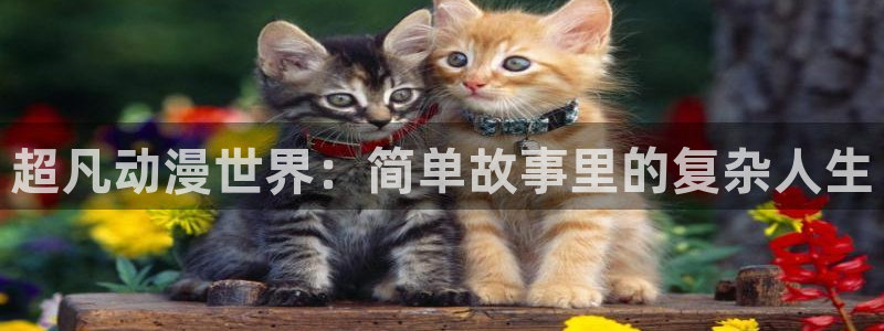 age动漫