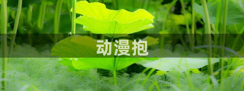 拷贝漫画 copymanager.ory网站