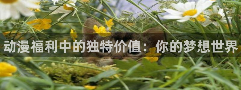 age动漫下载动漫全免费