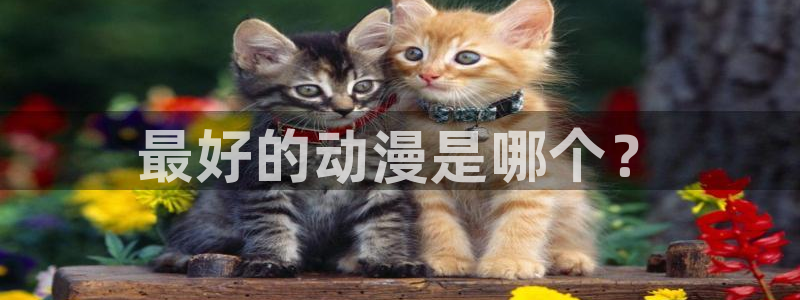 age动漫下载入口