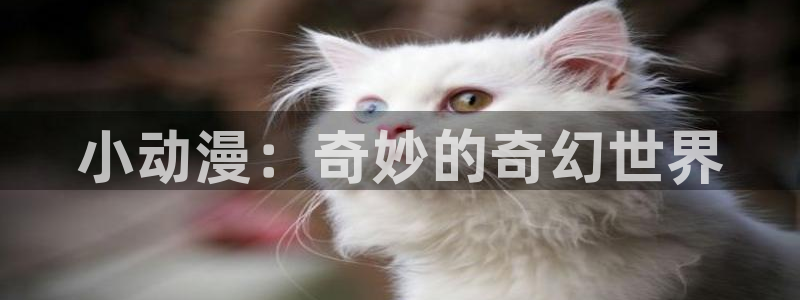 age动漫官网在线入口
