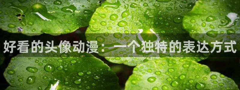 colomanage漫画官网