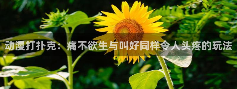 age专注动漫的门户网站
