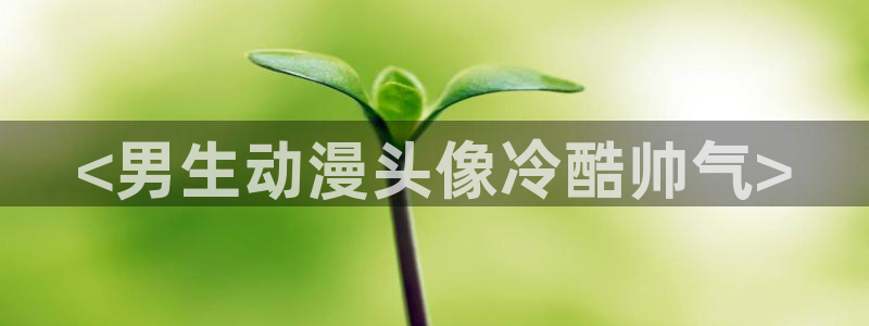 age动漫网下载：<男生动漫头像冷酷帅气>
