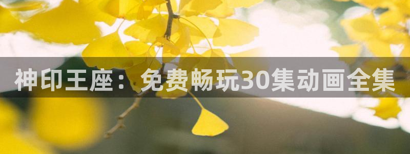 age动漫官网入口老版本：神印王座：免费畅玩30集动画全集