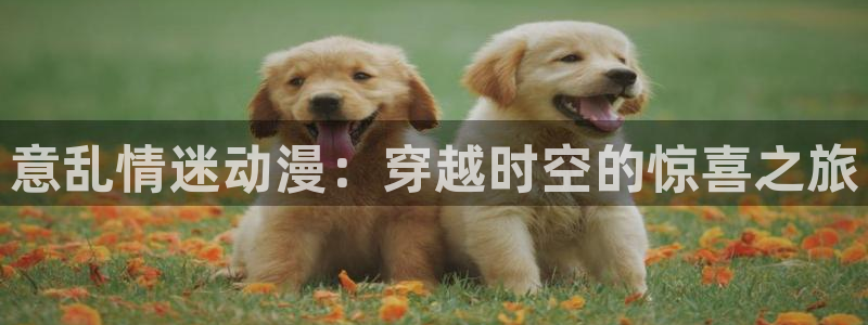 age动漫网下载：意乱情迷动漫：穿越时空的惊喜之旅
