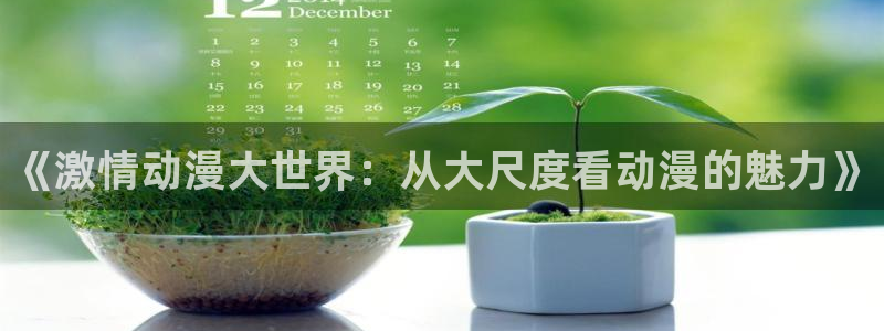 age动漫官网入口老版本：《激情动漫大世界：从大尺度看动漫的魅力》