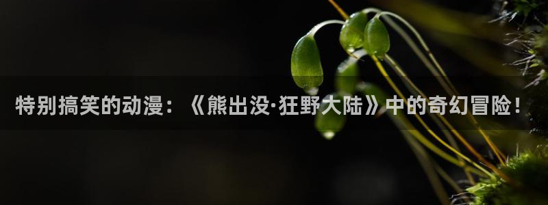 age动漫：特别搞笑的动漫：《熊出没·狂野大陆》中的奇幻冒险！