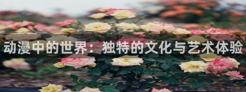 age专注动漫的门户网站：动漫中的世界：独特的文化与艺术体验