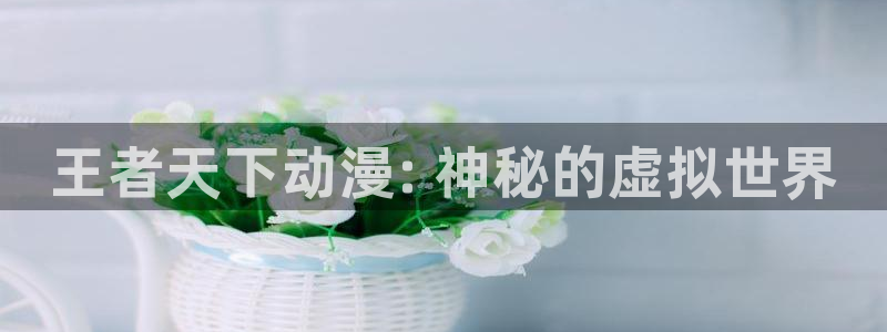 age动漫网下载：王者天下动漫: 神秘的虚拟世界
