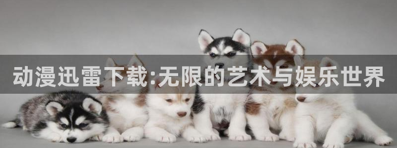 在线动画动漫下载age动漫：动漫迅雷下载:无限的艺术与娱乐世界
