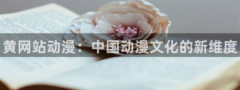 age动漫下载网：黄网站动漫：中国动漫文化的新维度