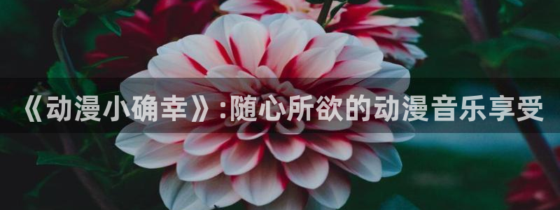 age动漫正版网：《动漫小确幸》:随心所欲的动漫音乐享受