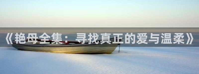 age动漫官网网址：《艳母全集：寻找真正的爱与温柔》
