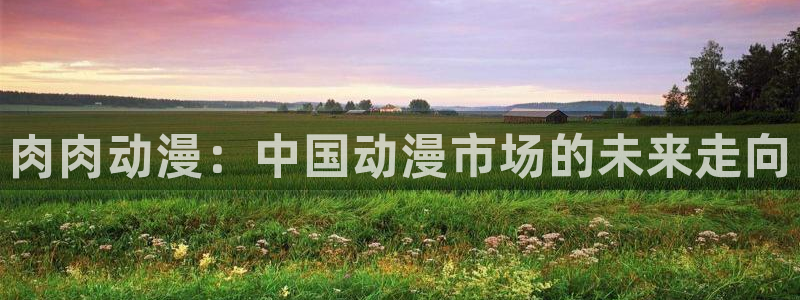 下载age动漫：肉肉动漫：中国动漫市场的未来走向