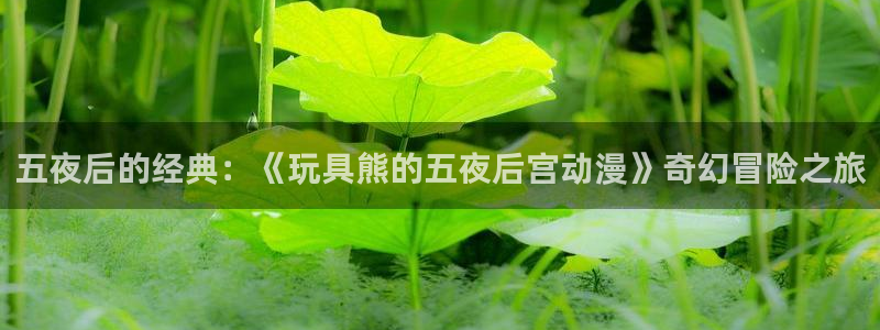 age动漫网下载：五夜后的经典：《玩具熊的五夜后宫动漫》奇幻冒险之旅