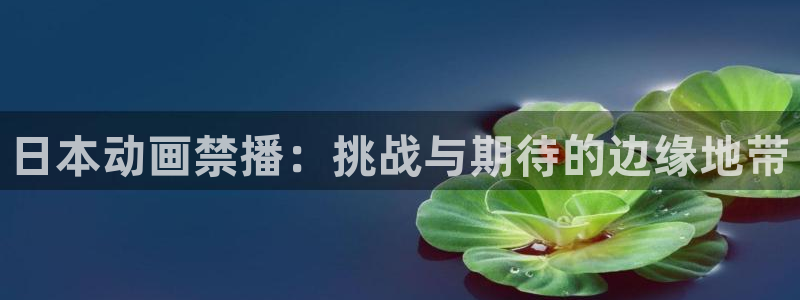 下载age动漫：日本动画禁播：挑战与期待的边缘地带