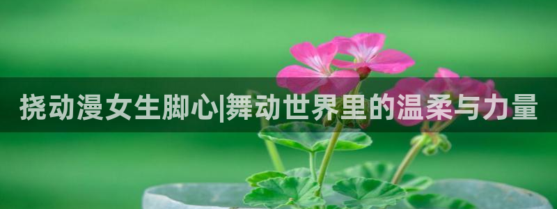 kakaopage韩漫官网：挠动漫女生脚心|舞动世界里的温柔与力量